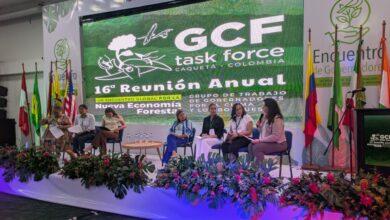 Photo of Yucatán presenta estrategia ambiental en foro internacional sobre cambio climático