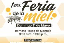 Photo of Mérida realizará su primera Feria de la Miel con productores locales