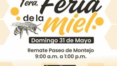 Photo of Mérida realizará su primera Feria de la Miel con productores locales