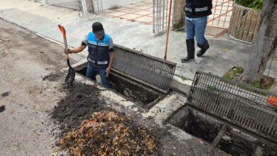 Photo of Cecilia Patrón despliega más de 100 brigadas tras histórica lluvia en Mérida