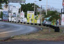 Photo of Circuito Colonias se pinta de verde: siembran 100 árboles en Mérida