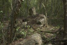 Photo of Descubren Minanbé, una ciudad maya oculta en la selva maya de Calakmul