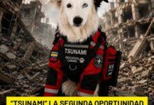 Photo of “Tsunami” la segunda oportunidad que terminó salvando vidas