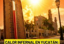 Photo of ¡Mérida se siente como un horno!: la sensación térmica alcanza los 50 grados centígrados