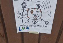 Photo of El dibujo de un niño para encontrar a su perrita conmueve en redes