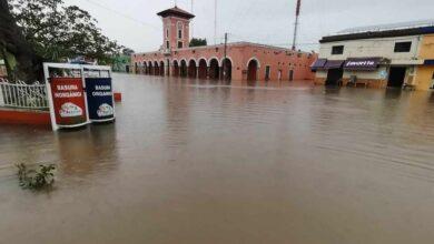 Photo of PAN Yucatán pide reforzar acciones contra dengue, zika y chikungunya
