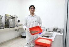 Photo of Yucatán se consolida como referente nacional en la prevención del dengue