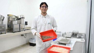 Photo of Yucatán se consolida como referente nacional en la prevención del dengue
