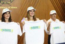 Photo of Mérida va por 8 mil 500 nuevos árboles en sólo 18 días
