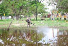Photo of Refuerzan acciones contra mosquitos en Paseo Verde y Paseo Henequenes