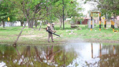 Photo of Refuerzan acciones contra mosquitos en Paseo Verde y Paseo Henequenes