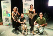 Photo of Temporada Olimpo 2026 llevará 39 proyectos artísticos a Mérida y sus comisarías