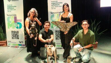 Photo of Temporada Olimpo 2026 llevará 39 proyectos artísticos a Mérida y sus comisarías