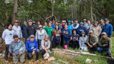 Photo of Crean en Yucatán una red para proteger manglares y ecosistemas que ayudan a frenar el cambio climático