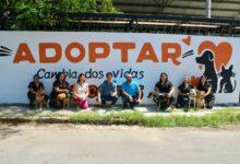 Photo of Nace en Mérida la primera barda de la empatía, para promover el bienestar animal