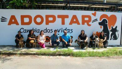 Photo of Nace en Mérida la primera barda de la empatía, para promover el bienestar animal