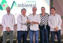 Photo of Yucatán ya supera los 500 mil árboles plantados