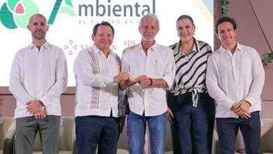 Photo of Yucatán ya supera los 500 mil árboles plantados