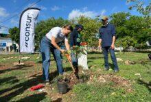 Photo of Arranca la Cruzada Forestal 2026 en Mérida