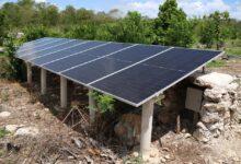 Photo of Paneles solares impulsan el riego y la producción agrícola en Motul