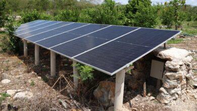 Photo of Paneles solares impulsan el riego y la producción agrícola en Motul