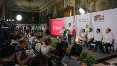 Photo of Tren Maya, Puerto de Progreso y nuevas inversiones: así va el plan para transformar Yucatán