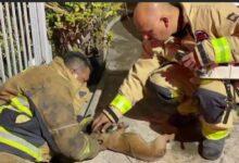 Photo of Bomberos rescatan a perrito de un incendio