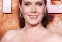 Photo of Amy Adams reveló cómo salvó a un hombre apuñalado gracias a una serie de TV