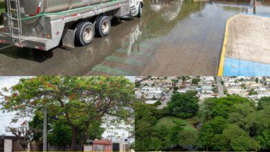 Photo of Reportes en vivo se convirtieron en acciones en calles