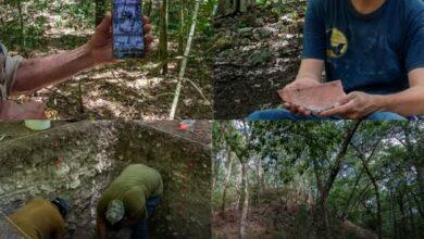 Photo of Exploran una ciudad maya gigante oculta bajo la selva de Campeche