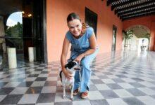 Photo of Cecilia Patrón impulsa campaña de adopción responsable de perros y gatos en Mérida