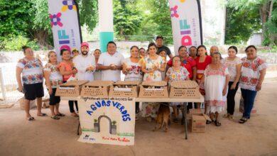Photo of DIF Yucatán entrega 587 aves de traspatio para fortalecer la alimentación y economía familiar
