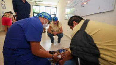 Photo of Esterilizan a 80 perros y gatos en jornada por el bienestar animal en Mérida
