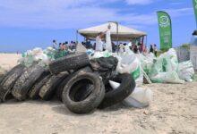Photo of Más de 600 voluntarios limpian playas de Progreso y retiran más de 800 kilos de basura