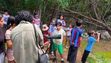 Photo of Más de 160 niñas y niños aprenden sobre medio ambiente en Yu’um Tsil