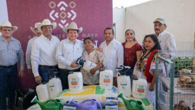 Photo of Destinan 11.7 millones de pesos para fortalecer el campo en el sur de Yucatán