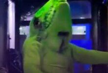 Photo of Chofer disfrazado de iguana conquista las redes y alegra recorridos en Acapulco