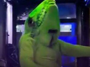 Photo of Chofer disfrazado de iguana conquista las redes y alegra recorridos en Acapulco