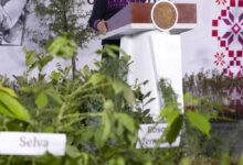 Photo of México analiza modelos de Canadá, EE.UU. y Noruega para un fracking de menor impacto