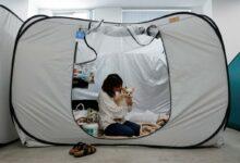 Photo of Clínica veterinaria en Japón se convierte en refugio para familias y sus mascotas tras terremoto