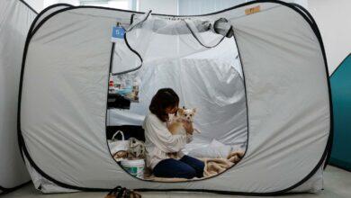 Photo of Clínica veterinaria en Japón se convierte en refugio para familias y sus mascotas tras terremoto