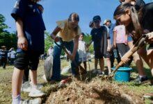 Photo of Mérida supera meta de la Cruzada Forestal 2026 al plantar 8,754 árboles