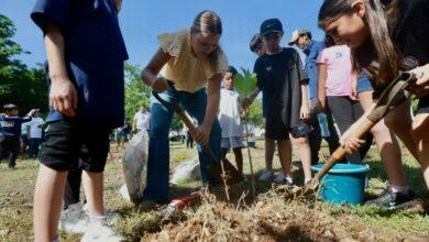 Photo of Mérida supera meta de la Cruzada Forestal 2026 al plantar 8,754 árboles