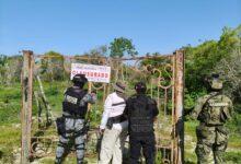 Photo of Clausuran 17 polígonos en la Reserva de la Biosfera Ría Celestún