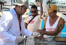 Photo of Yucatán refuerza vigilancia para certificarse como estado libre de paludismo