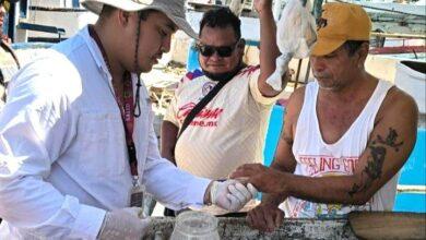 Photo of Yucatán refuerza vigilancia para certificarse como estado libre de paludismo