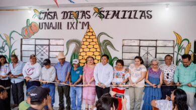 Photo of Dzitás crea banco comunitario para proteger semillas nativas de la milpa maya