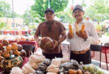 Photo of La milpa y la chaya celebran el patrimonio biocultural de Yucatán