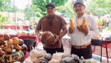 Photo of La milpa y la chaya celebran el patrimonio biocultural de Yucatán