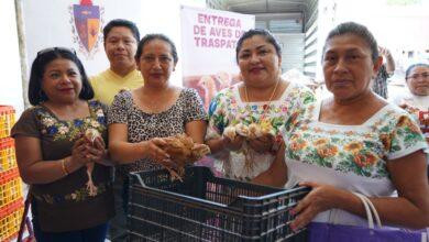 Photo of Impulsan la producción de traspatio para mejorar la alimentación familiar